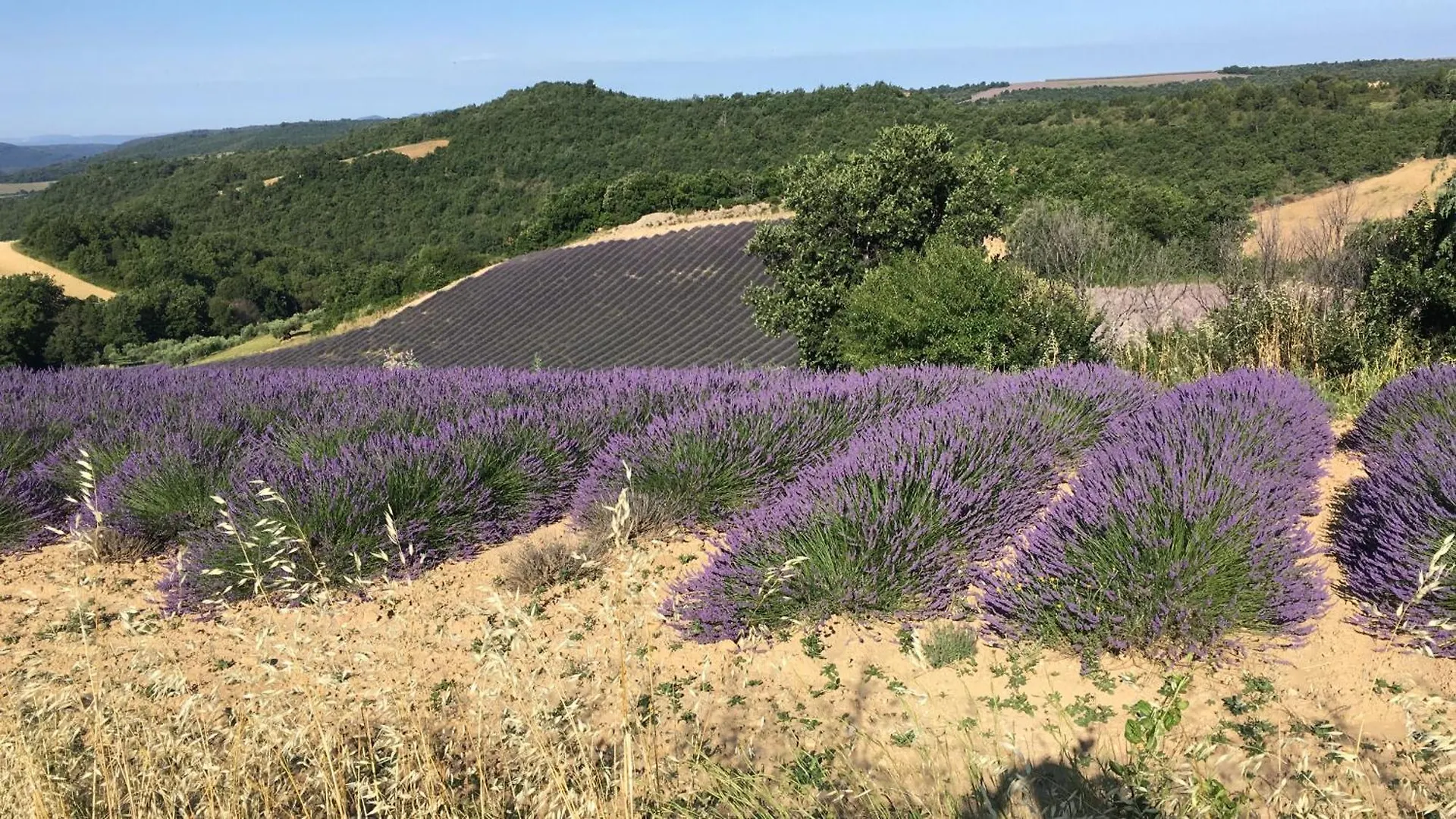 Place Du Village Haute Provence Puimichel